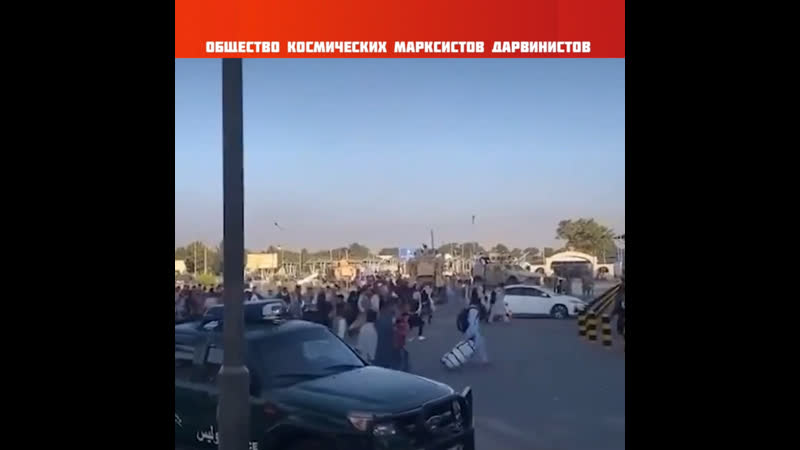 Коллаборационисты брошенные пиндосами в кабульском аэропорту