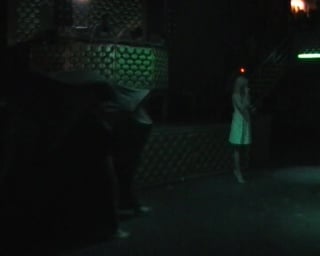 Битва факультетов 2010 манекены (фоп)