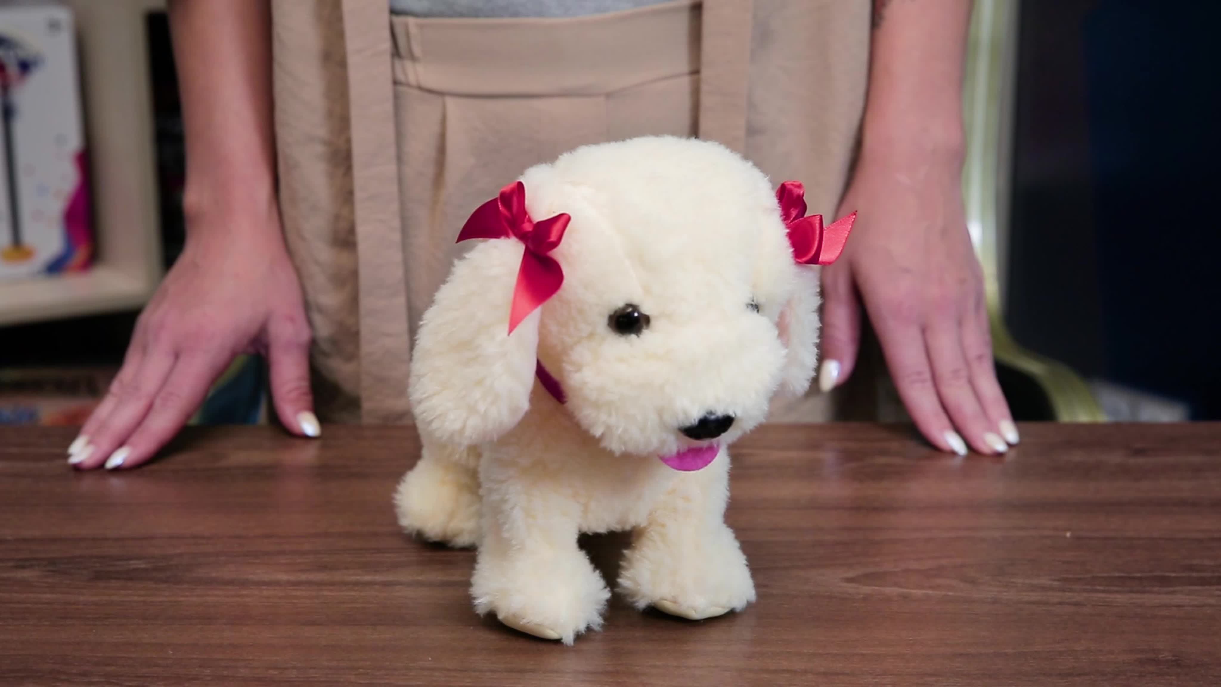 A animal with an aroused penis ready for action