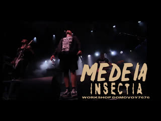 Medeia insectia (provinssi live 2019)