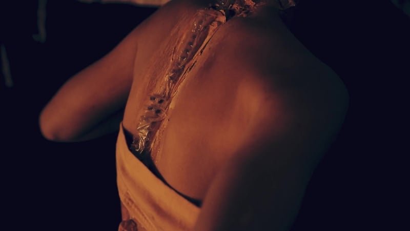 Corteccia su una rivoluzione