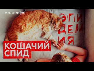 Кошачий спид / эпидемия с антоном красовским часть 7 18+