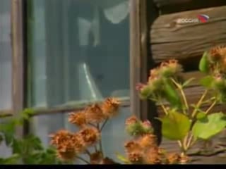 Тамбовская вандея