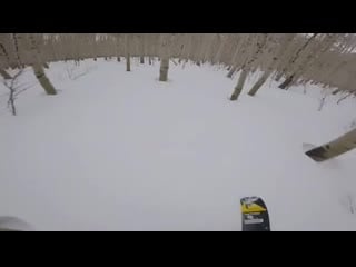 Local honey hole is still a bit bushy