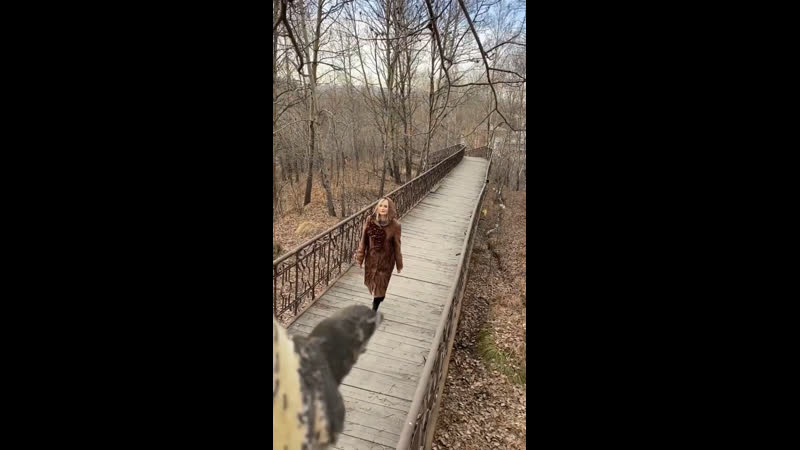 Терпение и труд всё перетрут