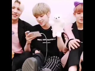 Cute️ 에이스 ace 준 동훈 와우 김병관 찬 jun donghun wow kimbyeongkwan chan