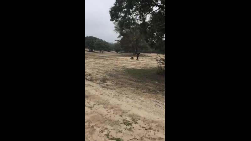 Мертвая хватка mp4