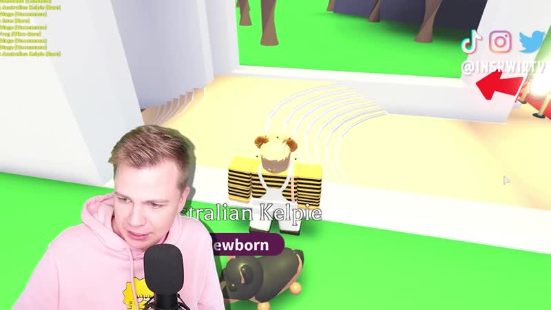 [просто никита] открываю 100 австралийских яиц, чтобы получить легу адопт ми! (роблокс)