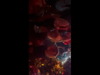 Женя с флинтом и аня с ирой сосутся