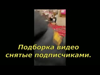 Служители маскарадного режима видео от подписчиков