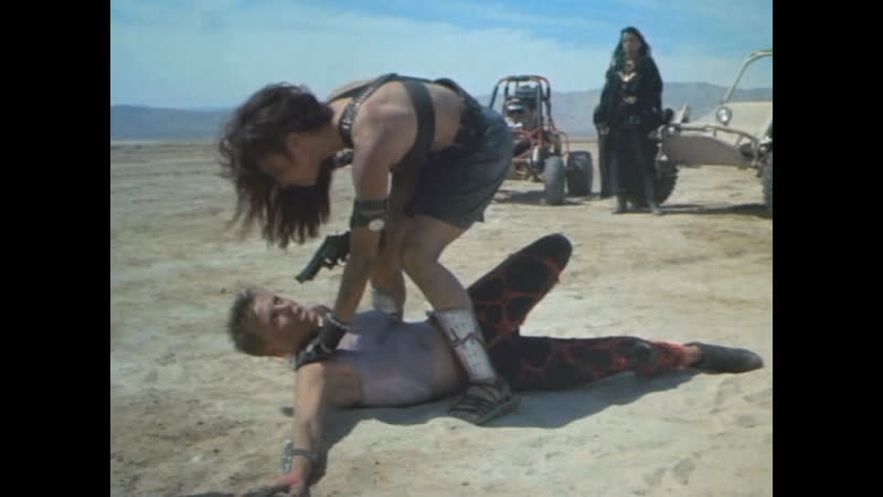 Феникс воин / волчицы пустоши / phoenix the warrior / she wolves of the wasteland (1988)