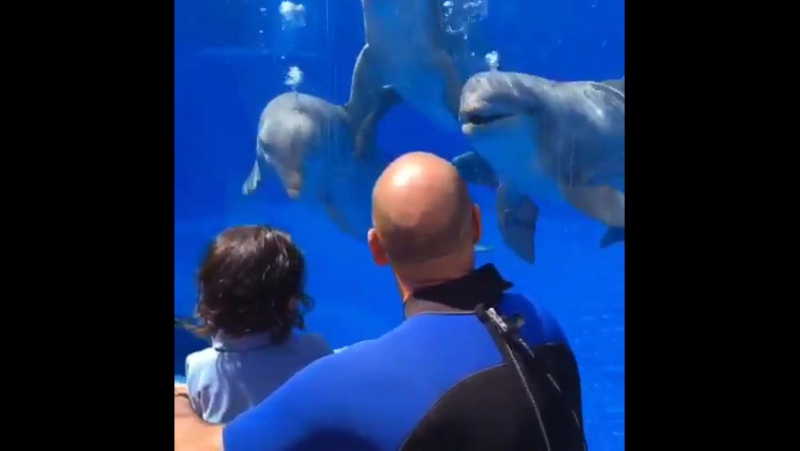 Матео навас и даниэла салас | mateo navas &amp; daniela salas