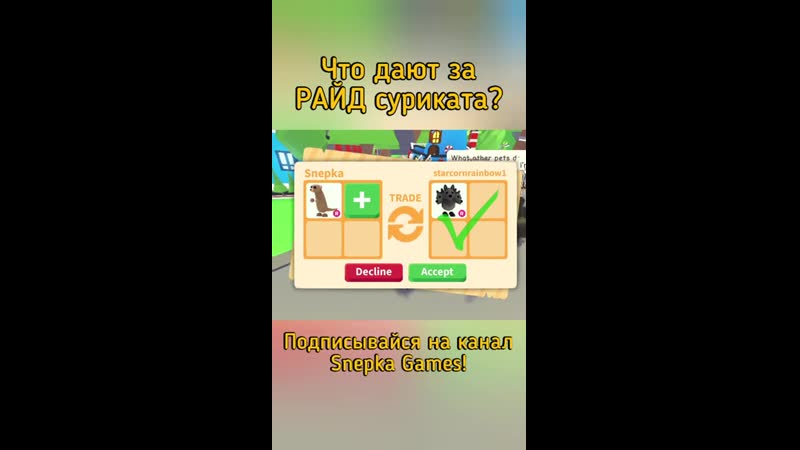 [snepka games] трейд адопт ми роблокс! | что дают за райд суриката в adopt me roblox #shorts