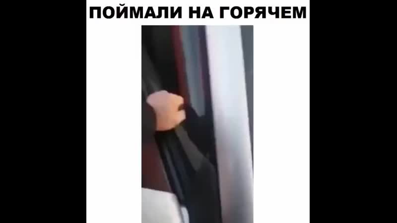 Video zhest 20200503 100451 0 mp4