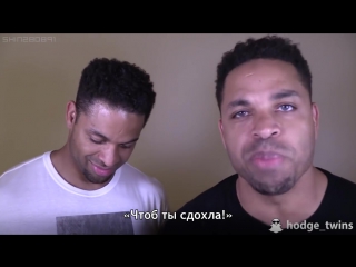 Hodge twins