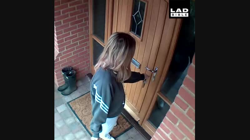 Не зря поставили камеры наблюдения