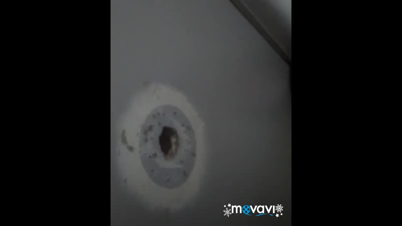 Глори холл в киеве