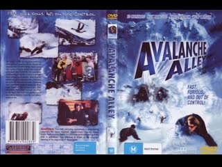 Долина лавин /avalanche alley (2001)