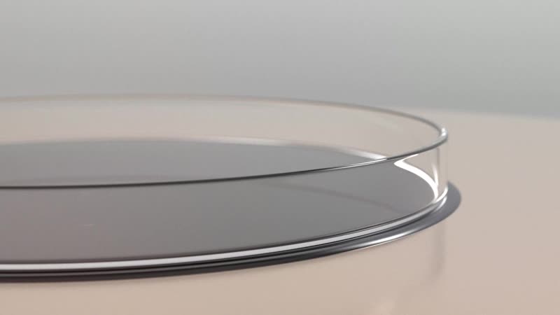 01 lamy al star 2018 720phd mp4