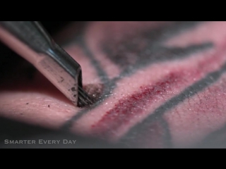 Tattooing close up (in slow motion) smarter every day 122