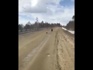 Сексуалдық бейнеролик