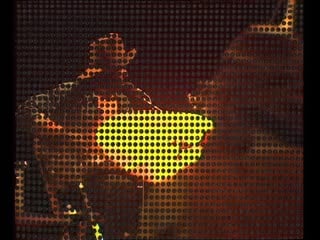 Taj mahal sweet mama janisse