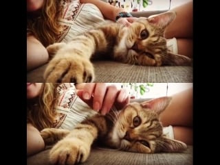 Instagram selen öztürk