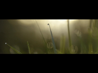 Purl stillpoint [sscd17] hd