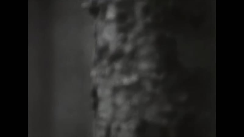 Dеатн in rоме «wнат is lоvе (наddаwаy соvеr)» (2015)