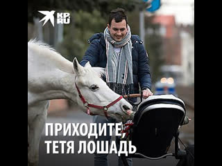 Приходите, тетя лошадь