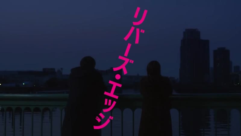 [birdman]
