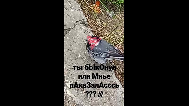 Mega omega porno zhopa pizda rvёt celku konchil v vaginu 24/7