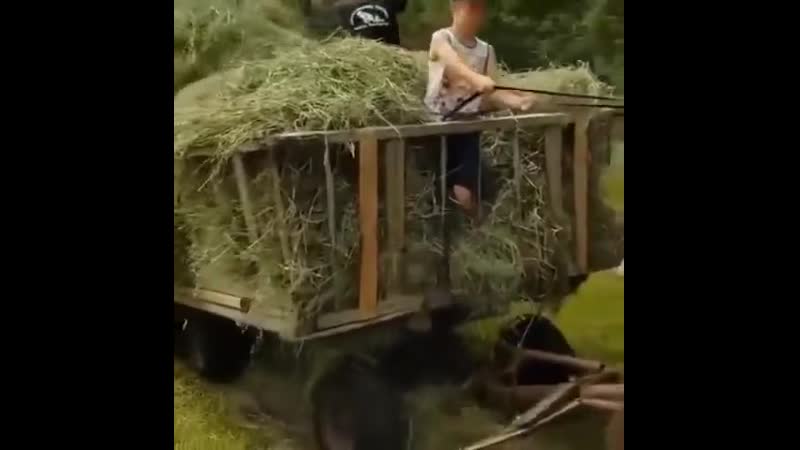 Неплохой прибор ytgkj[jq ghb,jh