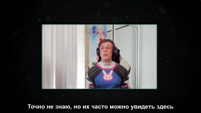 Интервью catboykami с itpedia алексеем шевцовым