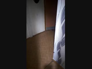 Vid 20190201 164204 mp4