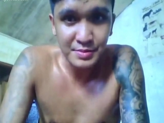 Germo (1)
