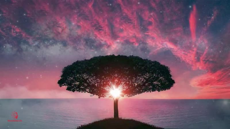[brainwave music] quantum manifestation, destroy negativity &amp; transcend the mind | 528hz binaural beat