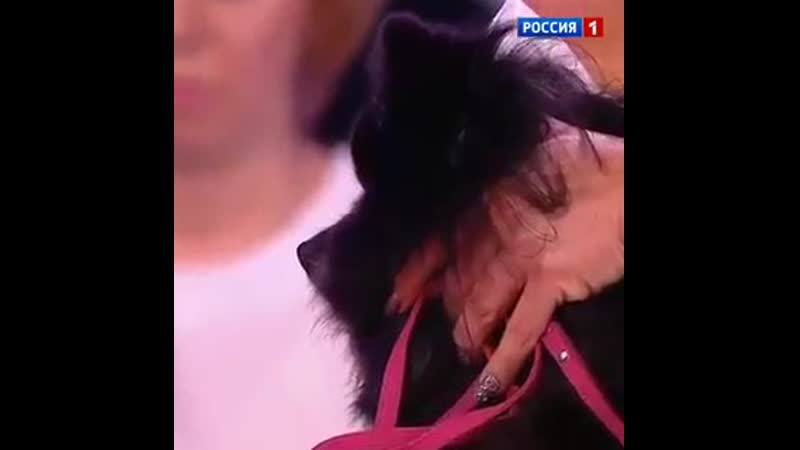 Молодые гипнотизер это пи#дец товарищи