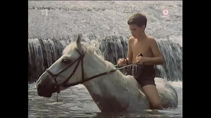 Афродита / afrodita (1993 словакия) драма молодые в кино режиссёр любо коцка / lubo kocka / ľubo kocka