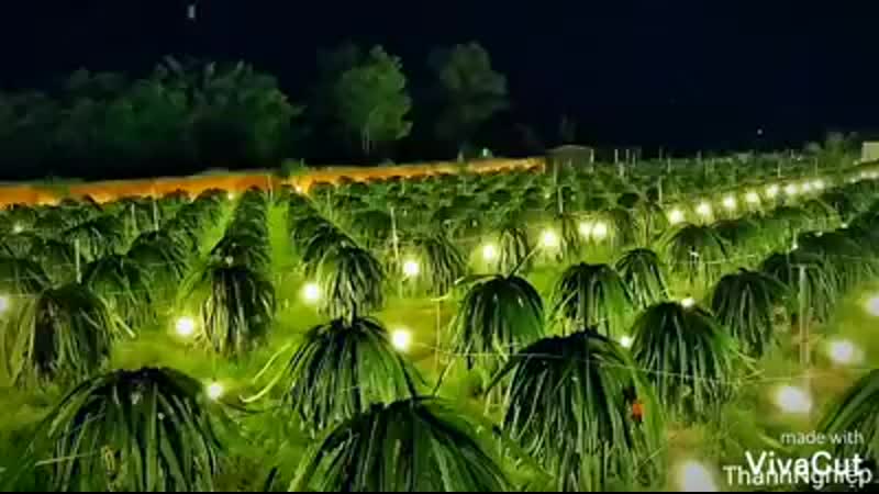 Nhóm công khai việt nam ơi!