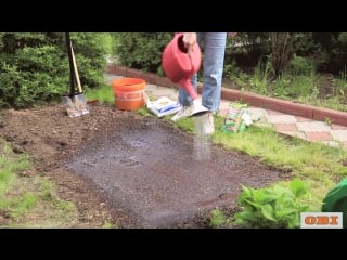 Газон на даче