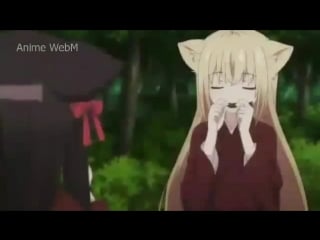 Konohana kitan
