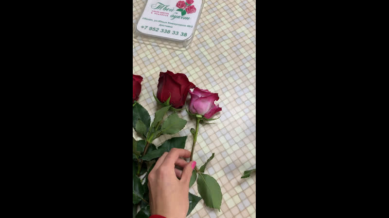 Шикарная плантация, огромные бутоны