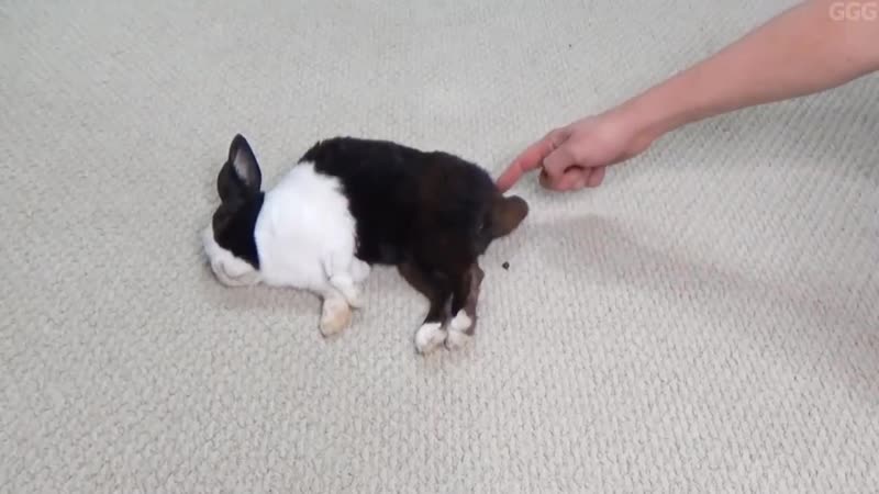 Автомат с конфетами (vhs video)