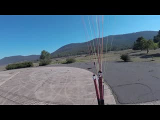 Curious kangaroo charges paraglider