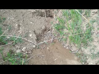 Слив в песчаный