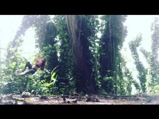 Cassidy klein с другом катаются на лиане как тарзан