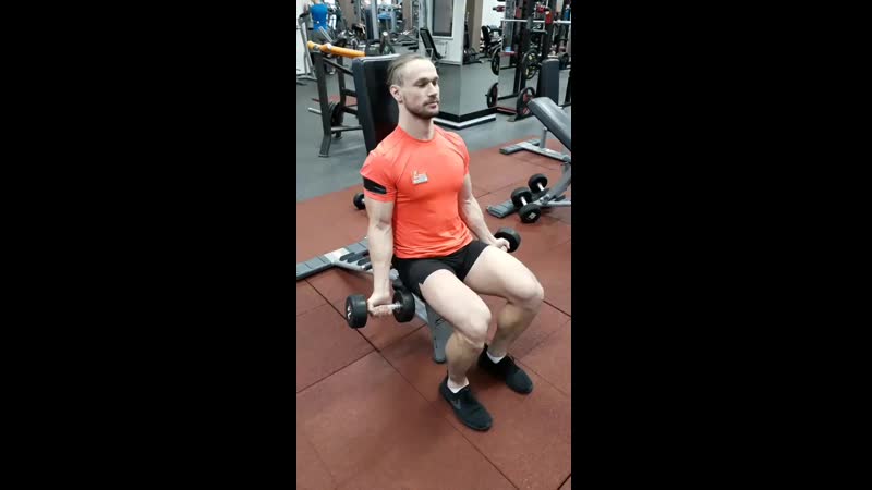 Сгибания рук в локтях с гантелями сидя