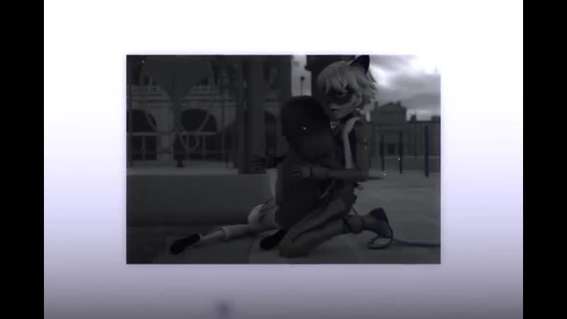 [edit by adrienlvr] marinette x lady bug x adrien x chat noir x marichat x adrienette x ladynoir x ladrien /// miraculous vine