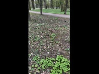 Vid 20190503 152525 mp4